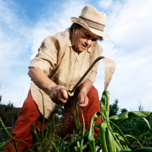 NR 31 - CIPA Trabalho Rural